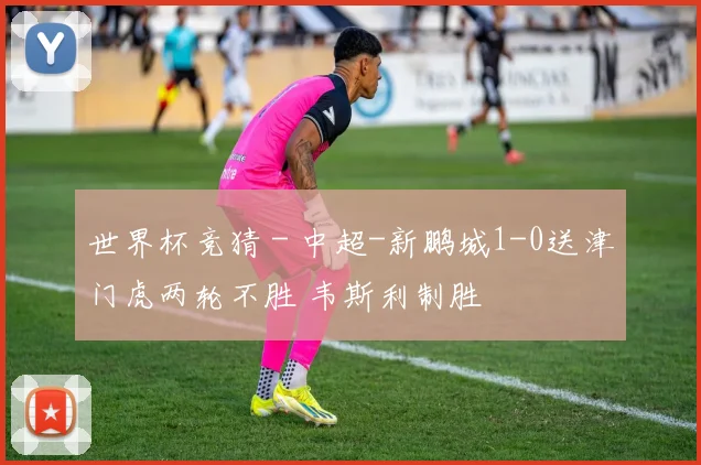 世界杯竞猜 - 中超-新鹏城1-0送津门虎两轮不胜 韦斯利制胜