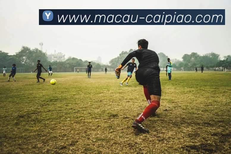 澳门彩APP 高清赛事图